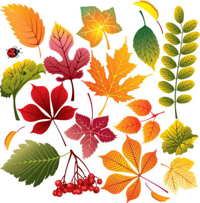 Листья деревьев осенью: красочные фотографии