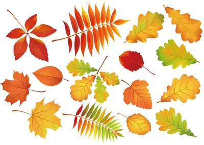 Листья деревьев осенью картинки фотографии