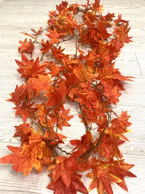 Осенние листья: фото, передающие магию осени