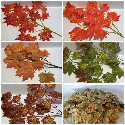 Осенние листья: фотографии, вдохновляющие на творчество