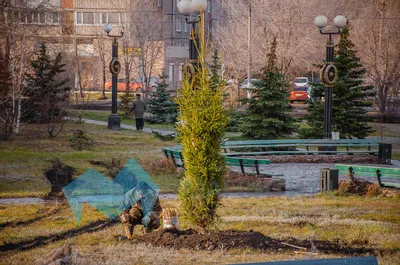 Фон с рисунками лиственных деревьев Уральского края