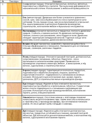 Уникальные рисунки лиственных пород деревьев