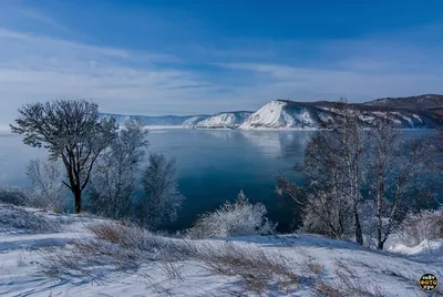 Фото Листвянки зимой: Великолепные изображения для вашего выбора