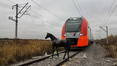 Волшебство на рельсах: Литературные поезда для скачивания