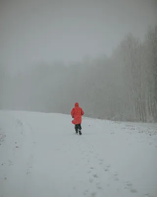 Снежная фея: лицо, окутанное волшебством зимы