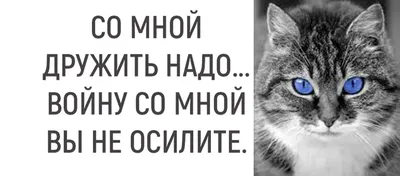 Любовь и смех на изображениях: бесплатно скачать в хорошем качестве