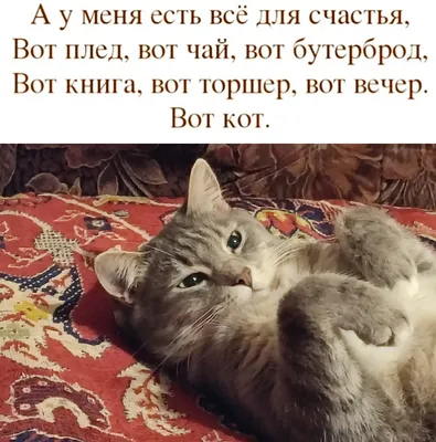 Фото, которые вызовут улыбку на лице