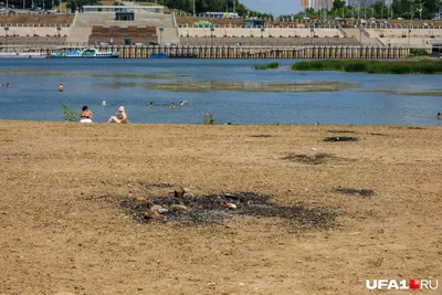 Фото дикого пляжа в хорошем качестве