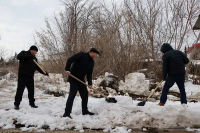 Сказочные кадры: Жизнь в зимнем волшебстве