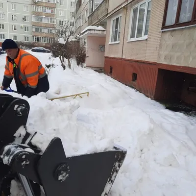 Веселье под снежным покрывалом: Красивые моменты среди белого великолепия