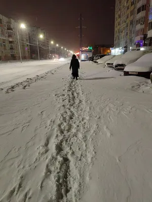 Зимние забавы: Увлекательные моменты под открытым небом