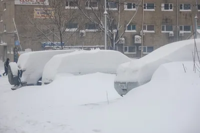 Скачать зимнюю радость: Люди на снегу в бесплатном доступе