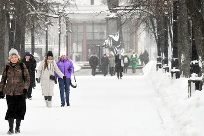 Фото зимнего города: Люди и аллеи в различных размерах