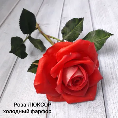 Картинка Люксор розы в разных вариантах