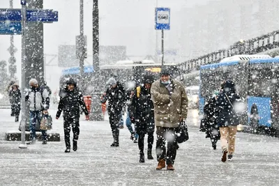 Завораживающая красота снежного пейзажа