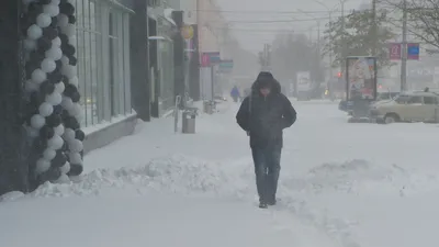 Природное чудо: ливневый снег на снимках