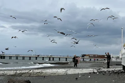 Фотографии пляжей бесплатно