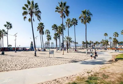 Фото Лос-Анджелес пляжа в формате JPG, PNG, WebP