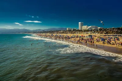 Лучшие фотографии Лос-Анджелес пляжа