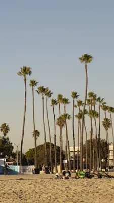 Лос-Анджелес пляж: фото и изображения для путешественников