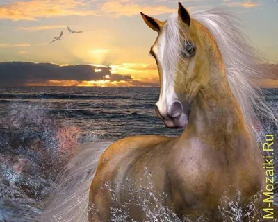 Картинки лошадей на закате: скачайте бесплатные фоны для вашего устройства
