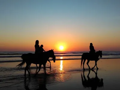 Изображение лошадей на закате - арт на тему природы в Full HD