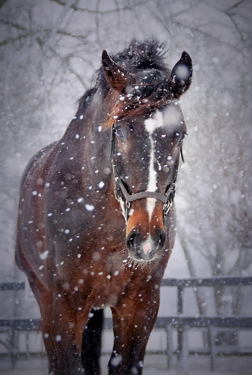 Табун лошадей изваяли из снега в Якутии