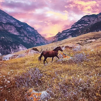 По следам лошадей: красота гор на фото