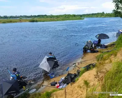 Картинка: эмоциональные фотографии рыболовства в закрытых водоемах