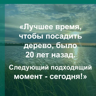 Лучшее время для на море: захватывающие снимки чистого голубого неба над океаном