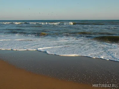 HD фото с видом на море в движении