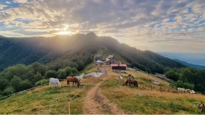 Величественные горы: захватывающая панорама в фотографии