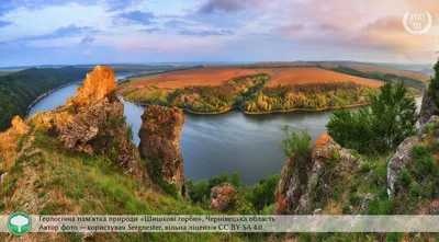 Гифки природы: Движение красоты в каждом кадре