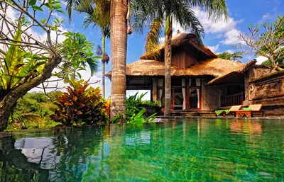 Фото пляжей Бали с пальмами и белым песком