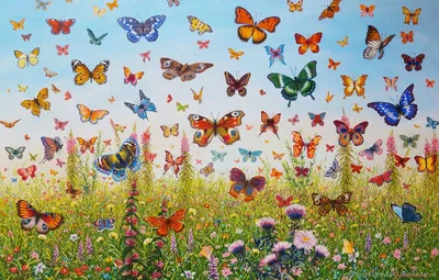 Удивительные бабочки на цветущем лугу