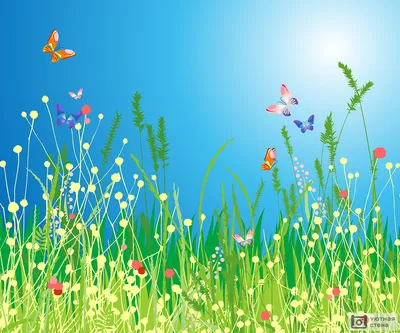 Фотография красивого пейзажа с бабочками и узорными цветами