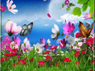 Картинка луга с прекрасными бабочками и красивыми цветами