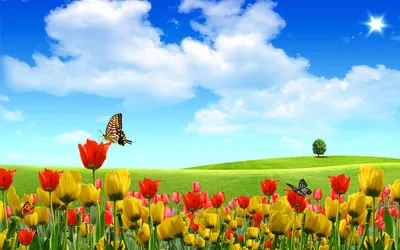 Изображение бабочек на цветочном лугу в формате PNG
