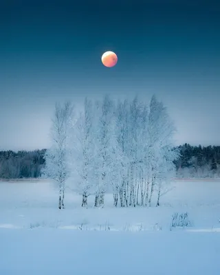 Зимняя Луна: Фото в высоком разрешении для скачивания