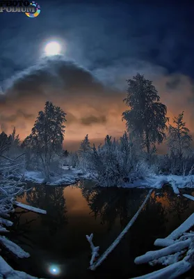 Лунное волшебство зимой: Изысканные изображения
