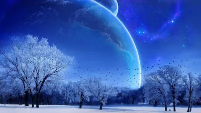 Зимний лунный свет: Впечатляющие изображения