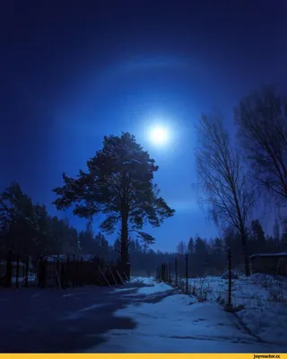 Фото Луны в зимний период: Размеры и форматы на ваш выбор