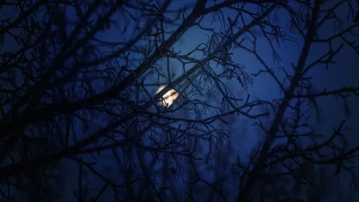 Лунные моменты в зимнем пейзаже: Свобода выбора размера и формата