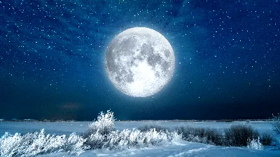 Лунные зимние ночи: Разнообразие фото и форматов