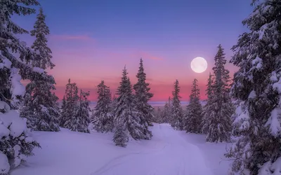 Зимний лунный свет: Размеры и форматы на ваш выбор