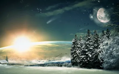Лунные моменты зимой: Фотографии в разных форматах