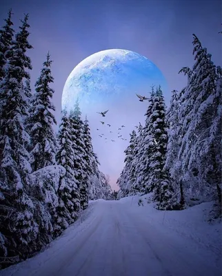 Зимний пейзаж с Луной: Великолепные фотографии природы