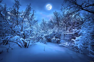 Зимний свет Луны: Фото на ваш выбор