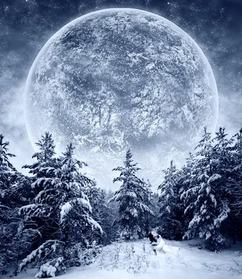 Зимние ночи с Луной: Различные размеры для скачивания
