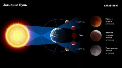 Фото Луны для настоящих ценителей: выберите размер и формат